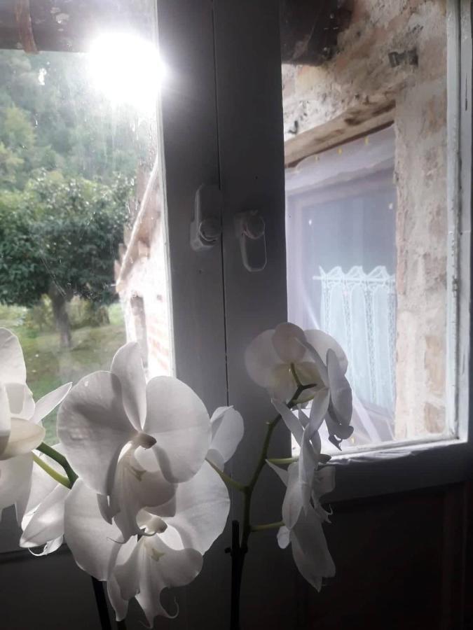 Il Giardino Dei Sogni Bed & Breakfast Montefortino Екстериор снимка